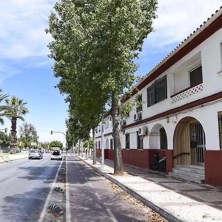 Letmalaga Sweet Family Apartment Ngoại thất bức ảnh